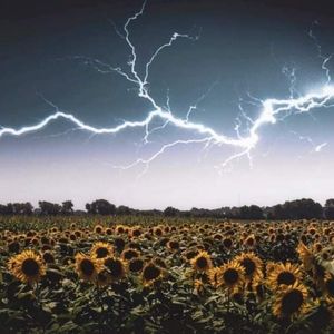 Bundle Up & Save! Open To Offers! 🖤